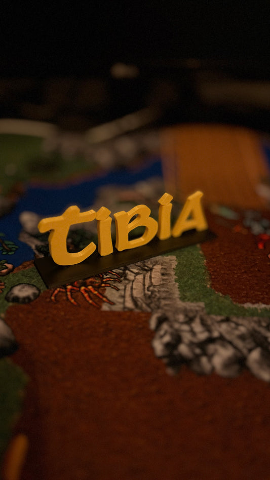 TIBIA 3D