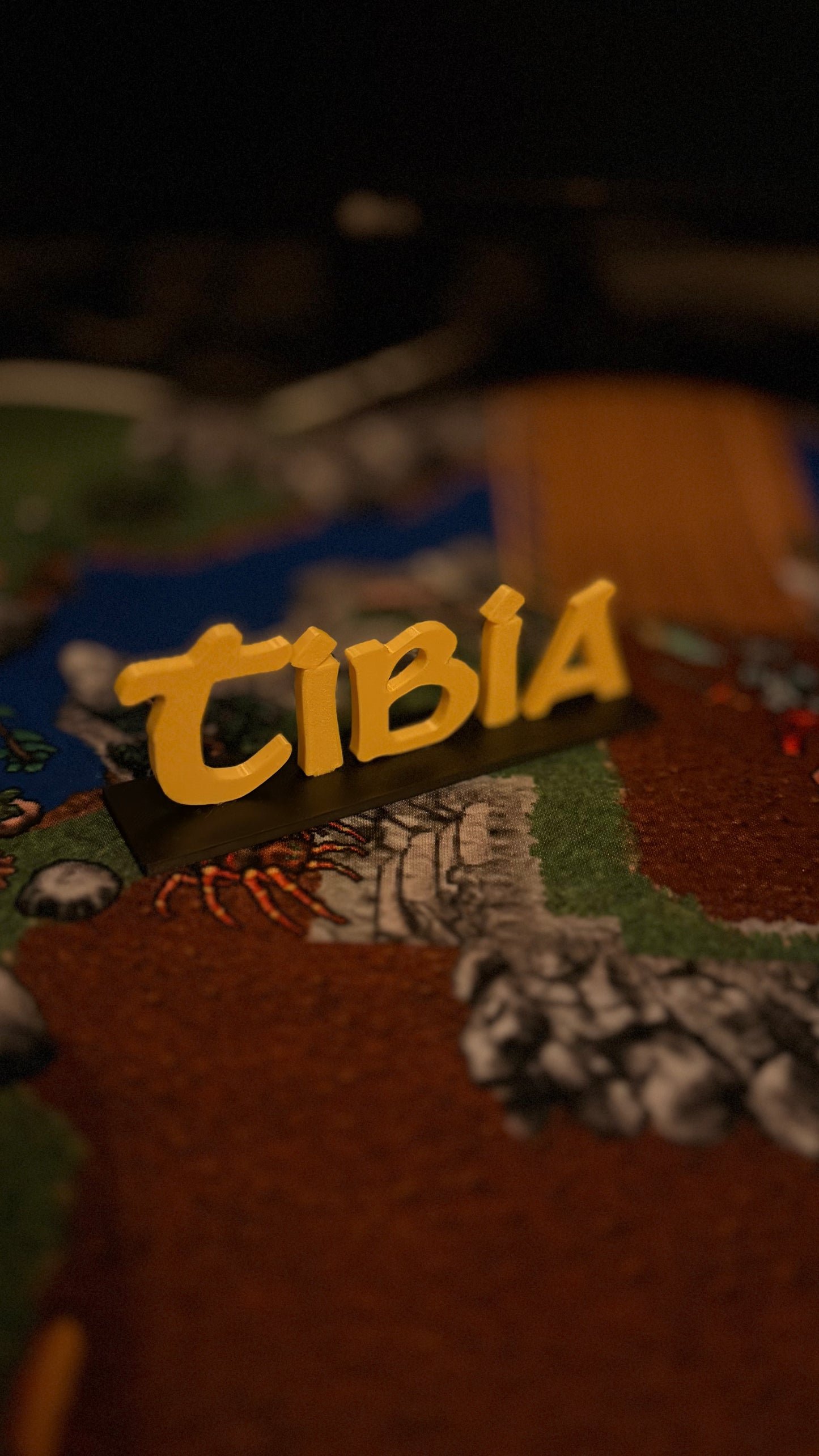 TIBIA 3D