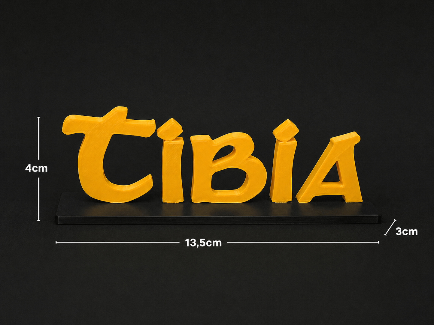 TIBIA 3D